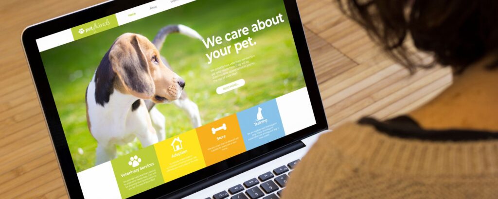 Professional Corporate Website Design Services in Kenya_